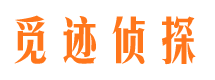 内乡市侦探调查公司